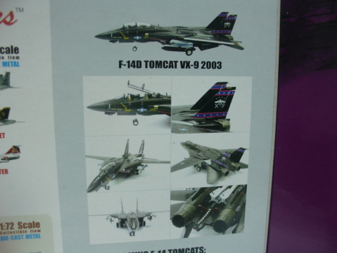 Sky Guardians Tomcat F-14D VX-9 Vampires USN Point Magu 03 Sky Guardians Tomcat F-14D VX-9 Vampires USN Point Magu 03