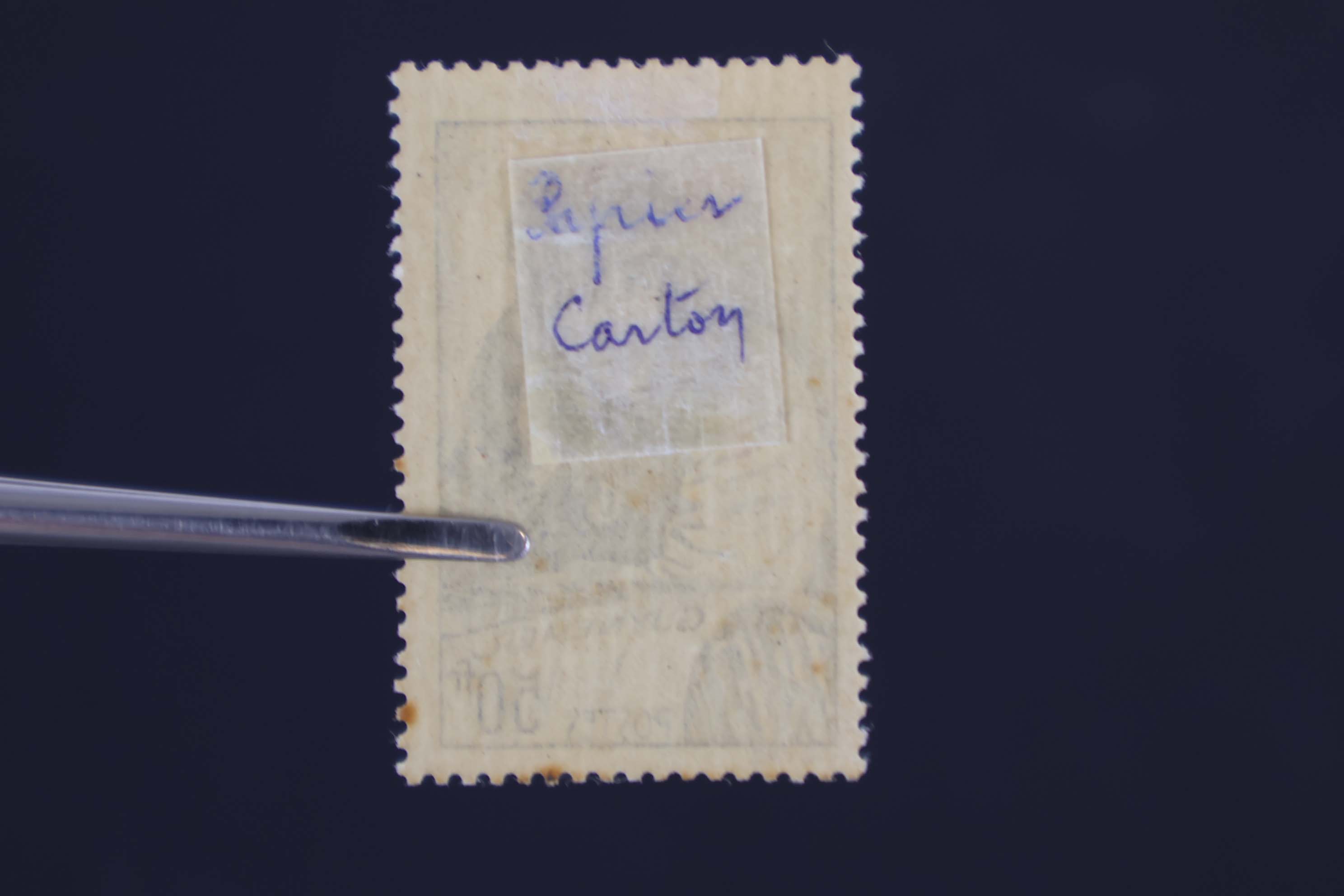 IMG-9999-1-(56)