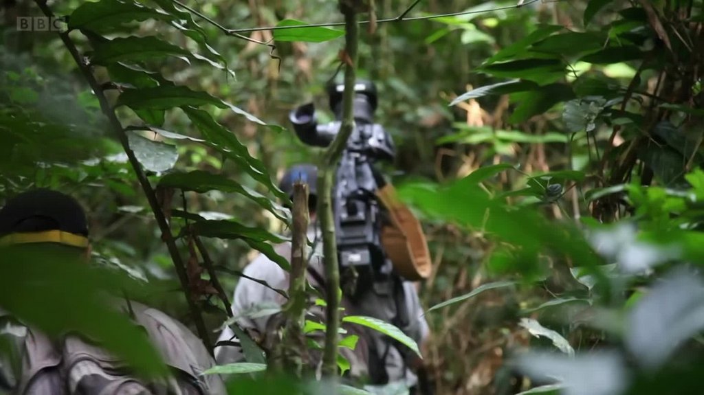 [Image: fq9um64epg8s.jpg]