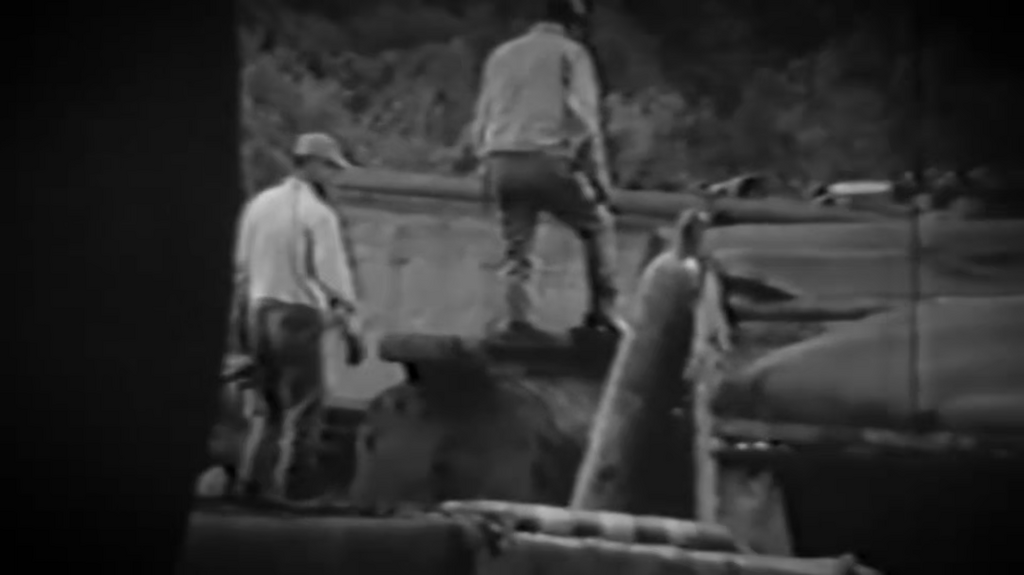 [Image: 7owlv07kgj5o.png]