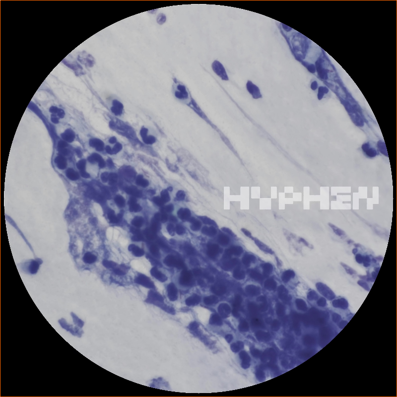 [Image: ceg2y8dt9z2i.png]