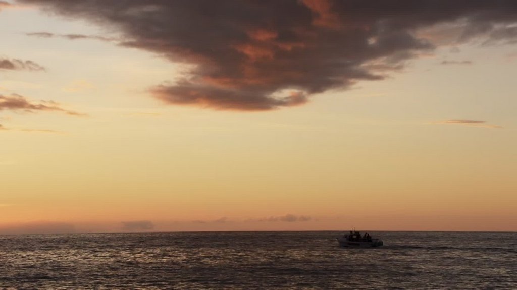 [Image: u6vmtszog736.jpg]