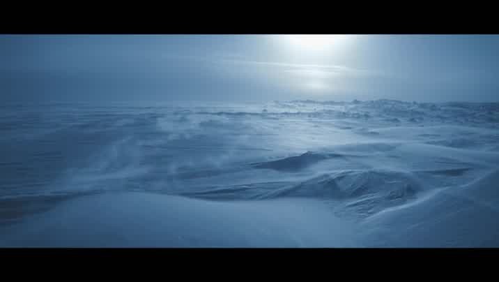 [Image: 8pn09zadxxo0.jpg]