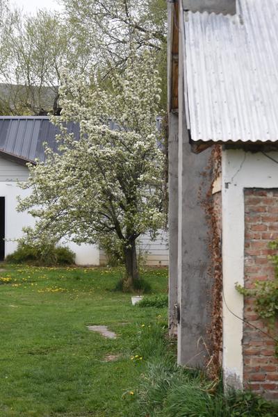 В джазе только девушки или аргентинско-бразильский калейдоскоп В джазе только девушки или аргентинско-бразильский калейдоскоп