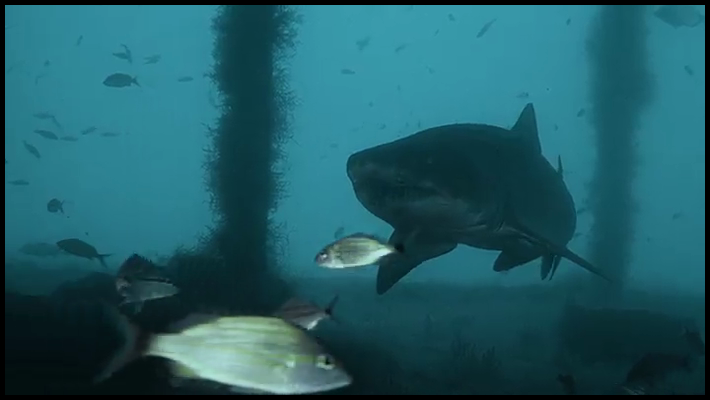 [Image: fv9y1h6dd7gq.png]