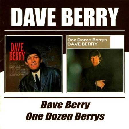 Dave Berry - Dave Berry - One Dozen Berrys (2004)