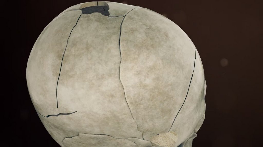 [Image: 4lnk5n1aa8hx.jpg]