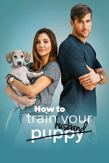 How-to-Train-Your-Husband-2018-HDTV-x264
