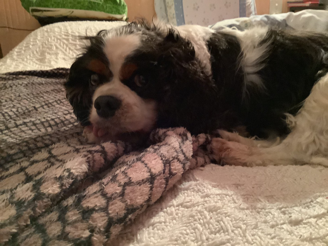 C06613B1-4279-4396-83B4-45E897CEC1BD