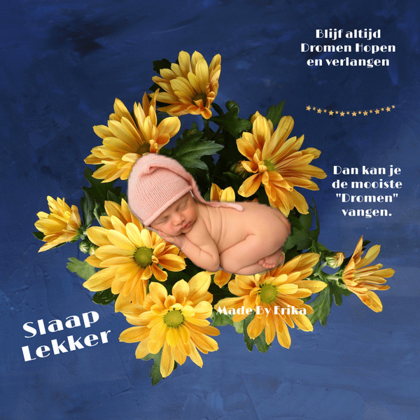 9EC4258A-91DE-4823-8974-033F6B50AD1B