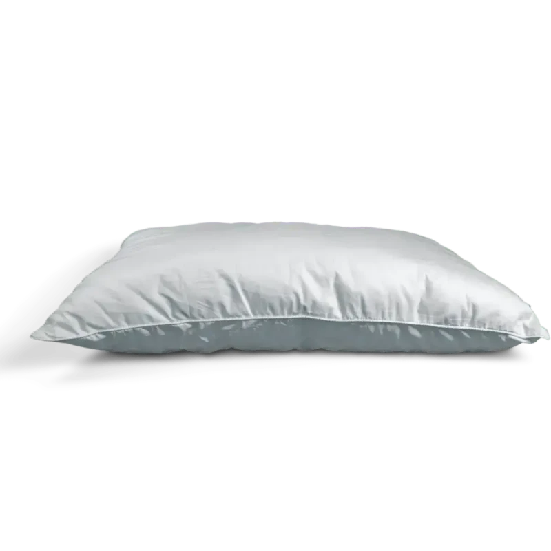 Almohada común