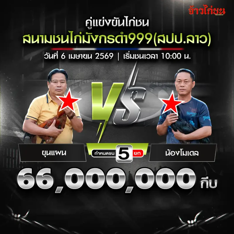 ขุนแผน vs น้องโมเดล โปรแกรมไก่ชน สนามชนไก่มังกรดำ999 วันที่ 6 เมษายน 2569