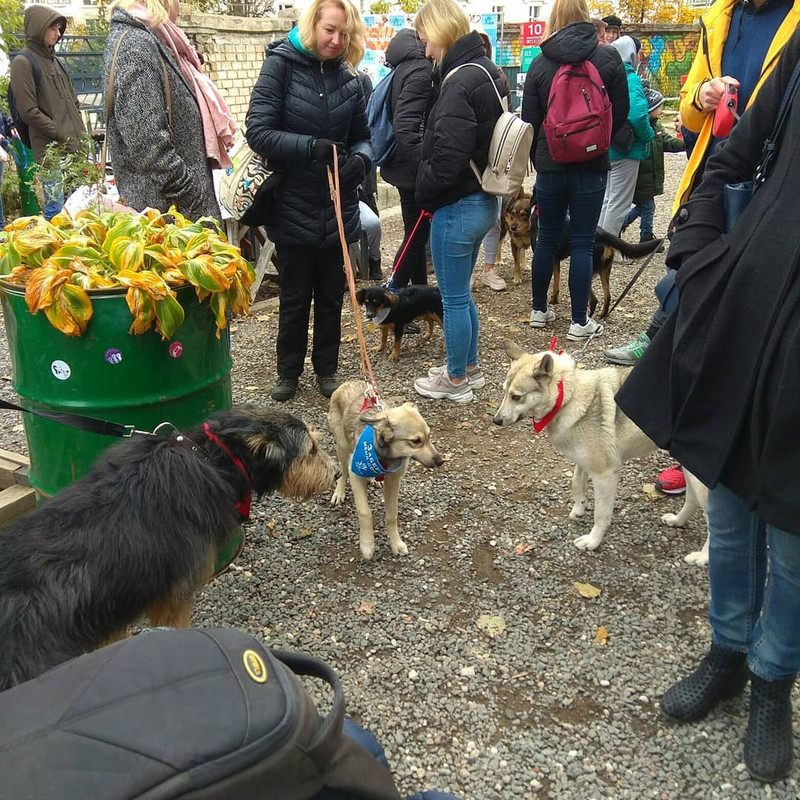 F5A49829-28FD-4688-9575-E5F5B9551B66