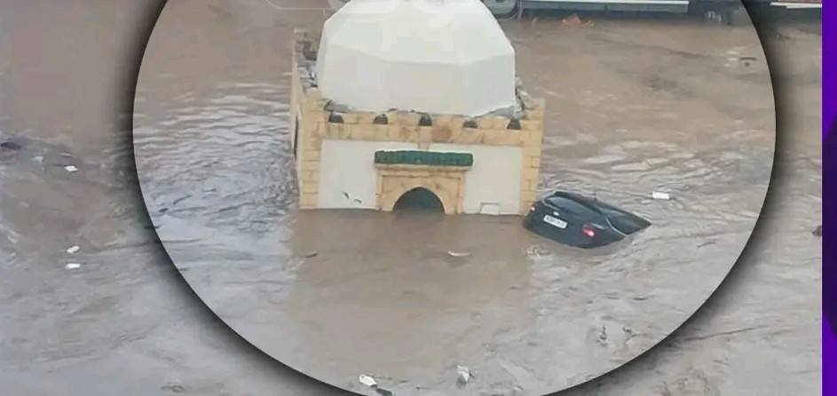 589650554-1835375443806768-2323421064516947534-n