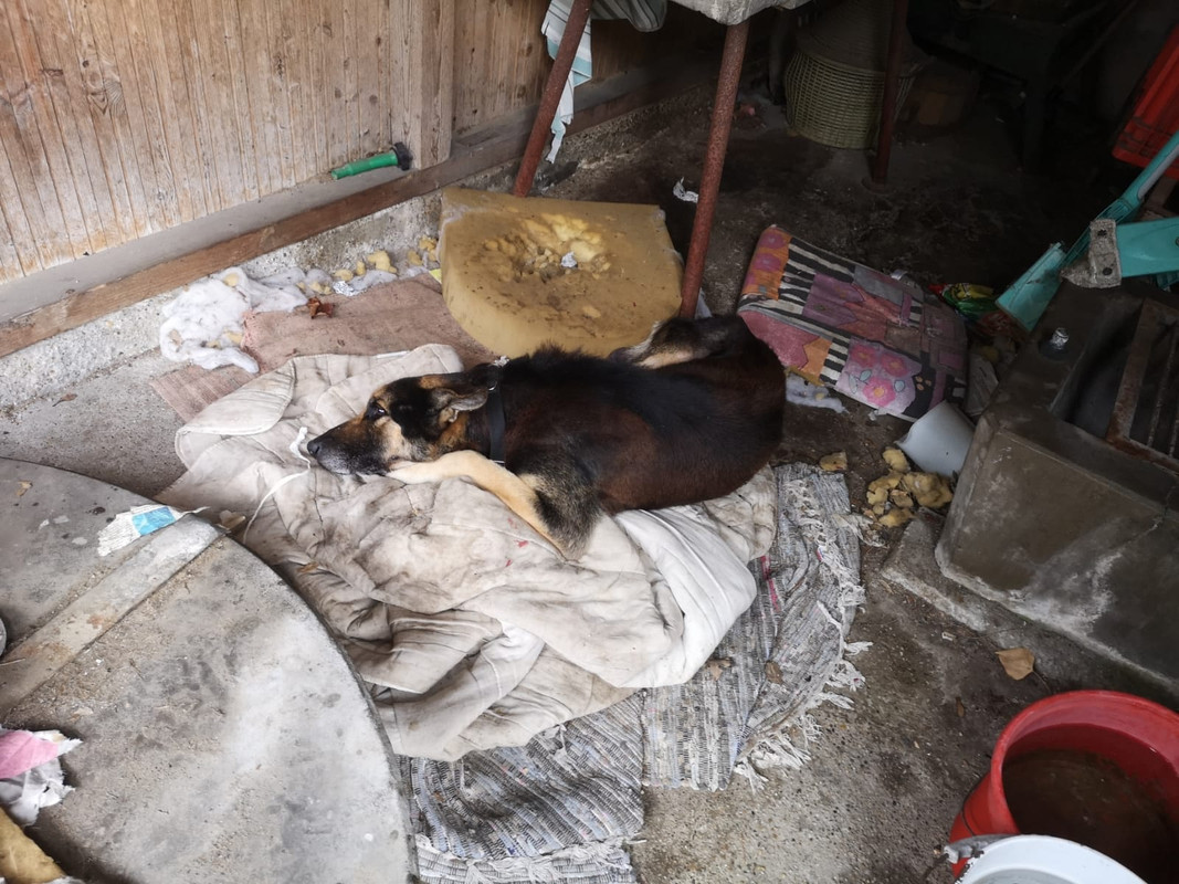 WhatsApp Image 2021-02-17 at 12.22.23 (1)