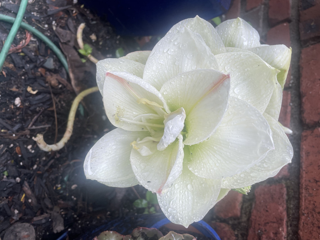 145DCDD6-FFCF-4820-86C3-E427EA209BE7