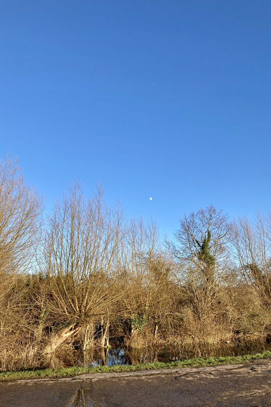 24408E6D-D5D6-4959-8F7E-B837CB78B382