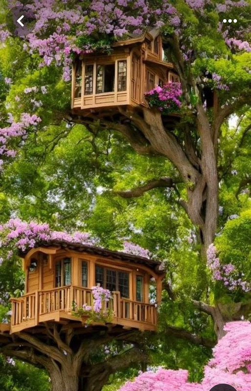 Screenshot_20240305_220028_Pinterest