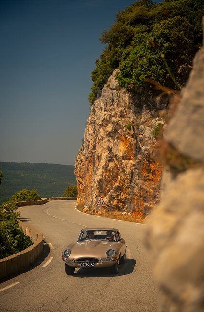 backdrop-6.jpg