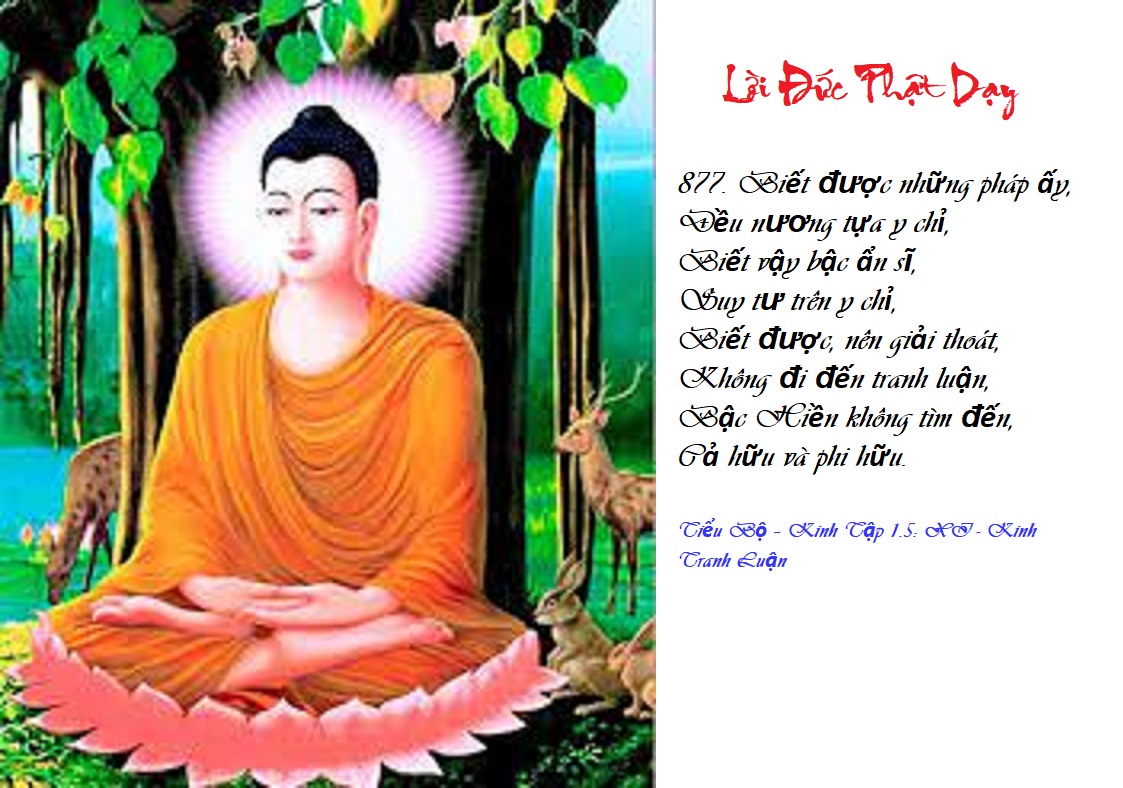 [Image: L-I-D-Y-KTL8.jpg]