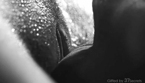 Retos – el sexo oral más lento posible Retos – el sexo oral más lento posible