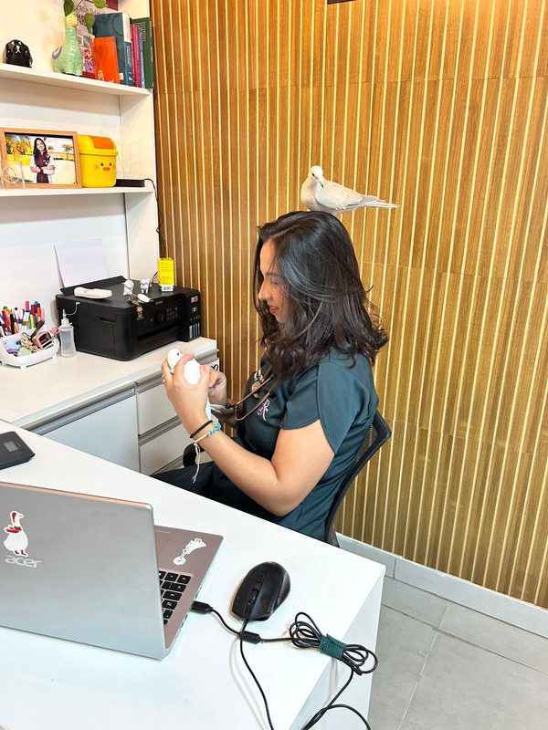 Veterinária com um animal no colo