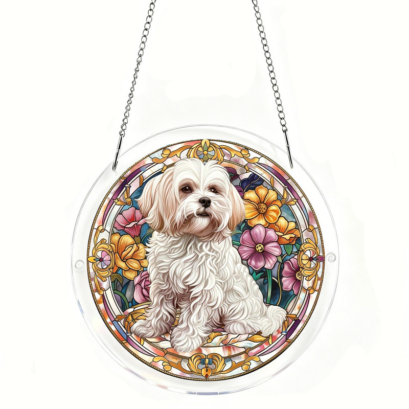 Maltese Dog 1