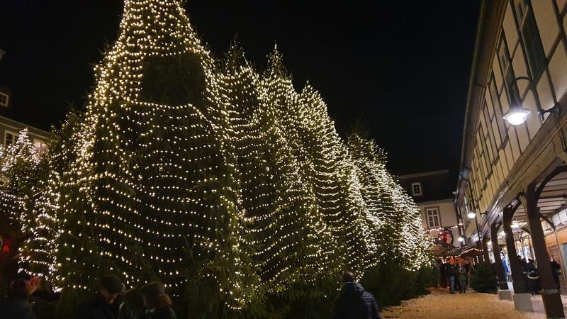 HAMELIN, HILDESHEIM Y GOSLAR - DESDE GOTINGA HASTA EL HARZ EN NAVIDAD (21)