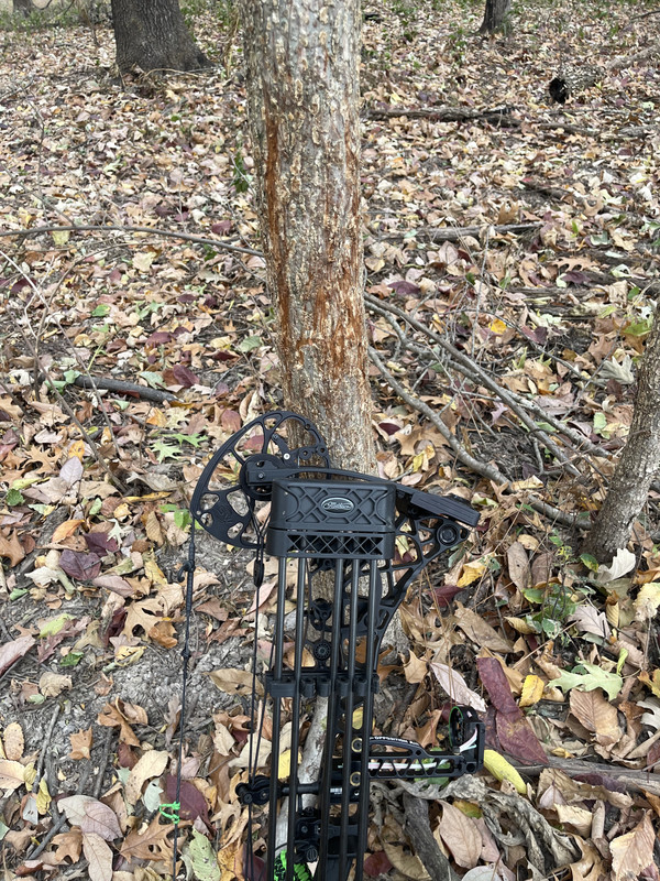 1276A03A-D6F0-4022-AE82-B942D1761F88