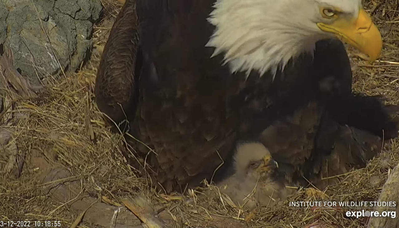 53E5A31C-F5ED-4BA5-99C0-6033322C9F62