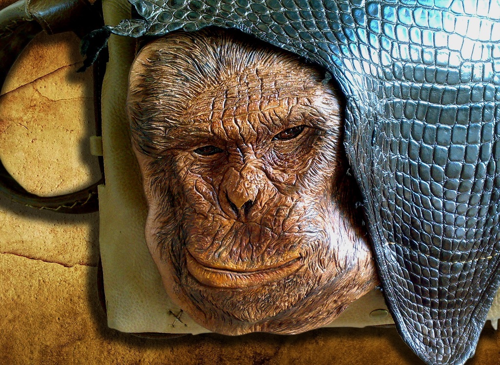 сумка обезьяна4