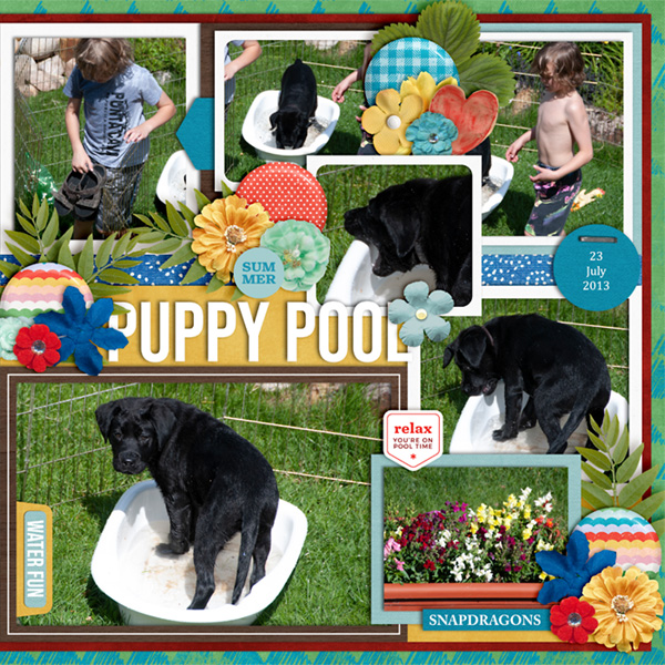 puppy-Pool2013-web-right.jpg