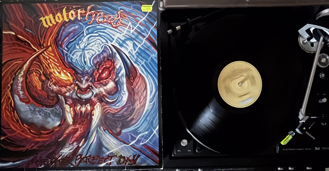 [Bild: IMG-2495.avif]