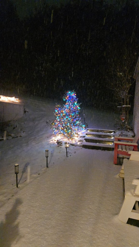 Resized_20250110_045805_1736506967570