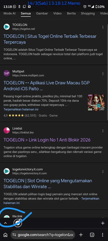 Screenshot 2026 03 14 131812