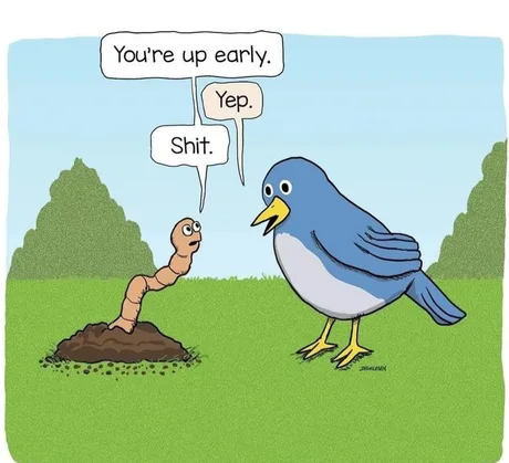 bird.webp