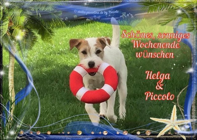 An den Beitrag angehängtes Bild: https://i.postimg.cc/9X7wvywf/WOCHENSCHO-N-04.jpg