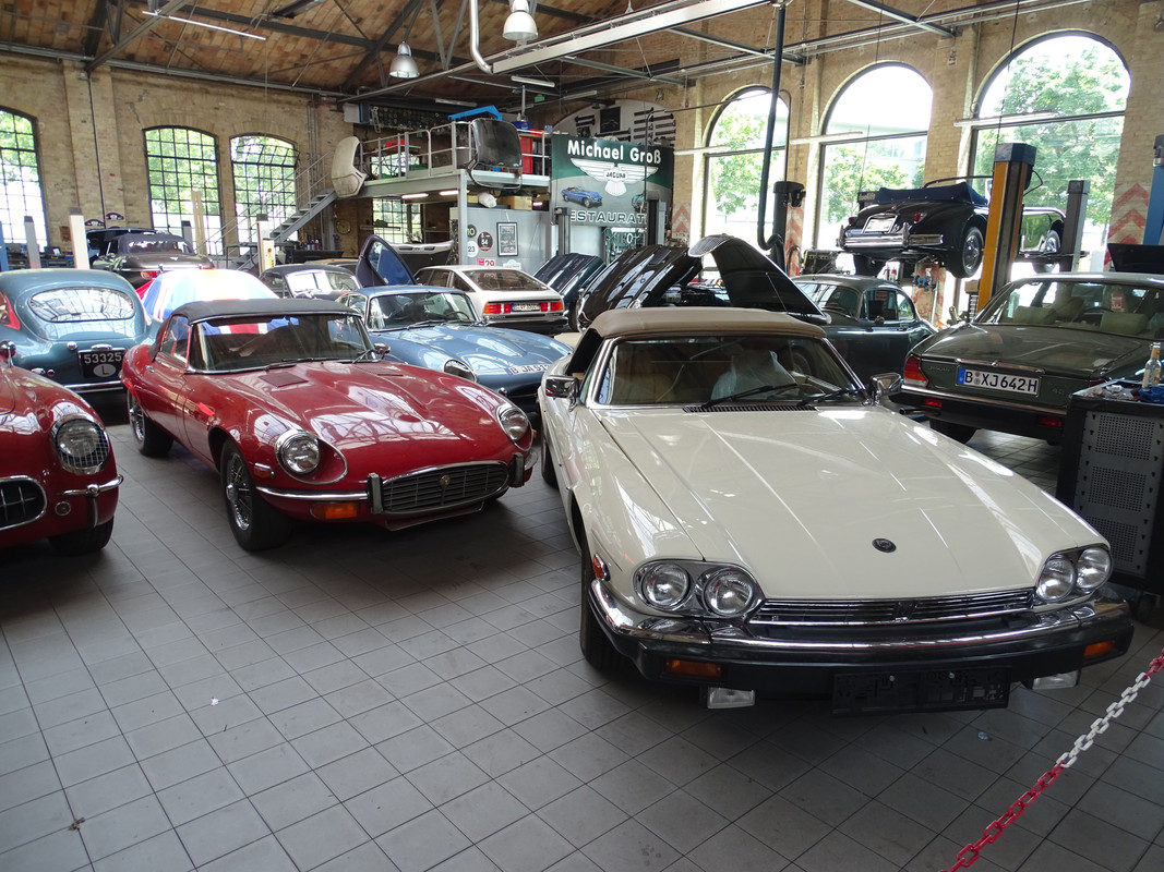 DSC00520.jpg