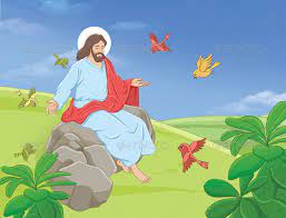 images_(2)