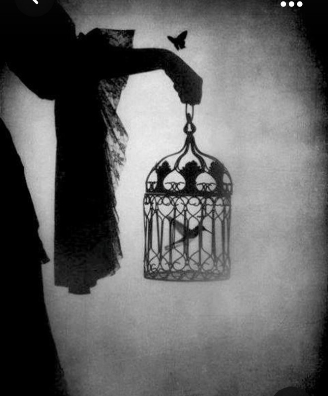 Screenshot_20231028_224014_Pinterest