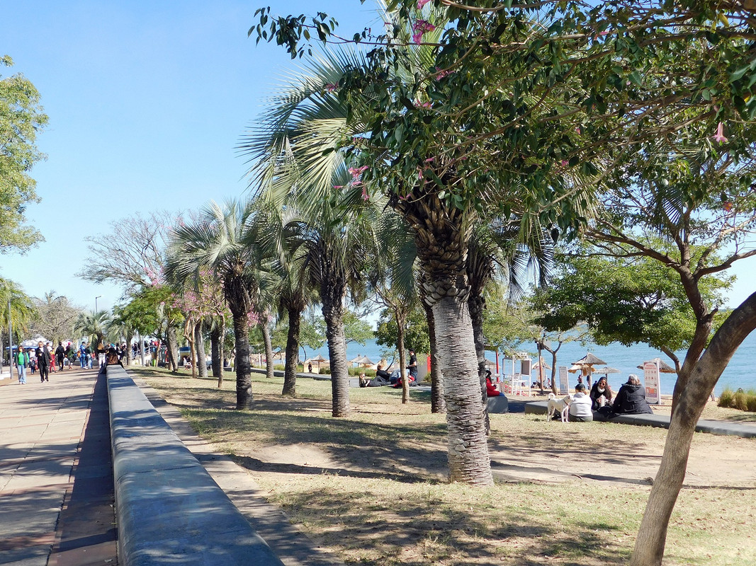 DSCN0180.jpg