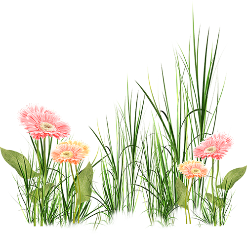 KBK_InTheSpring (24)