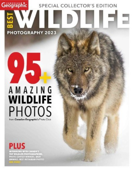 Canadian Geographic - Best Wildlife Photography 2023
