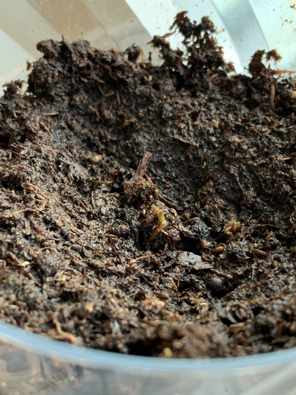 97D672E9-2271-46F3-BB9C-FF0709C627FE