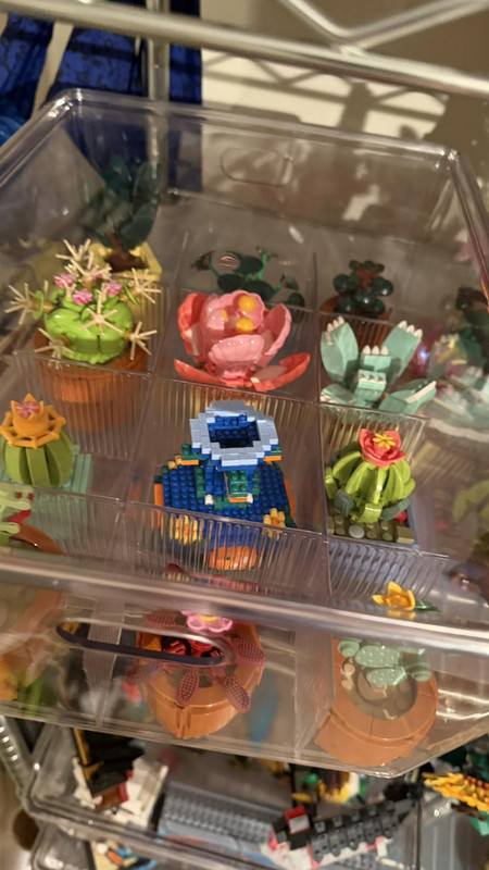 637952775 10235389655294539 5389175997008923467 n