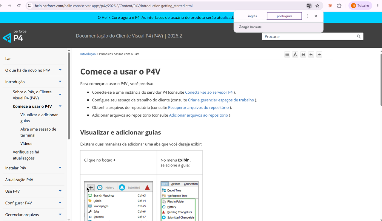 Documentação oficial do P4V no navegador, acessada via tecla F1