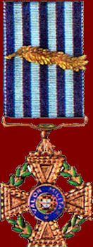 Medalha-Valor-Militar-Cobre-1-vm-350