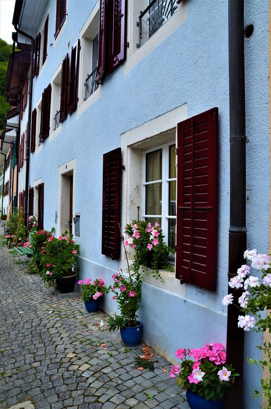 SAINT URSANNE-5-9-2019 - Suiza y sus pueblos-2019 (63)