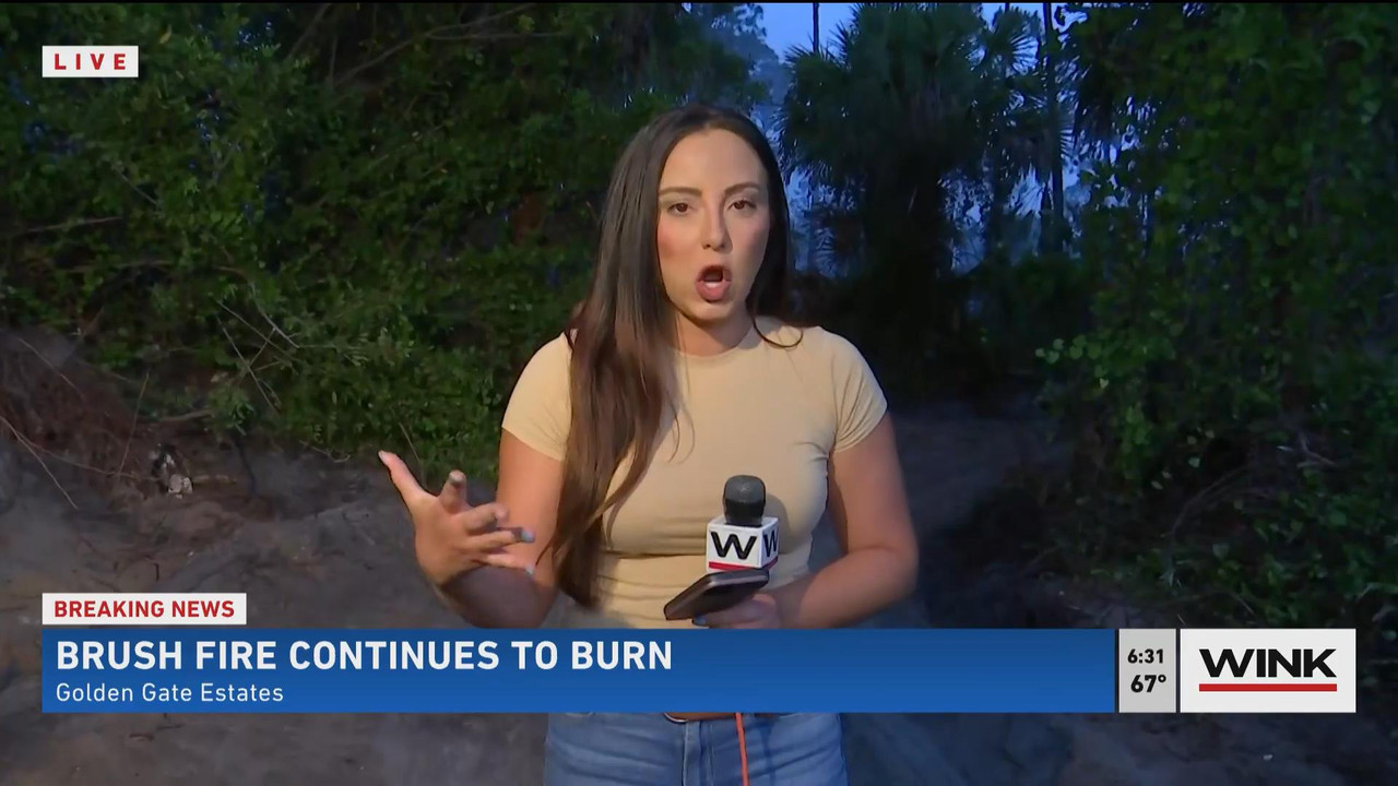 05.23 - 11.00.00 - WINK News @ 6 00AM Sunday. Local news, sports and ....ts_snapshot_31.11_[2021.05.