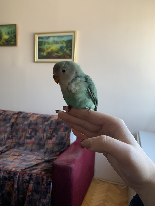 DA902CD2-AD95-4C9B-917A-E13D306C94E5